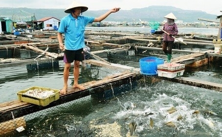 Giải Quyết Khiếu Nại